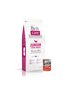 Pakiet Brit Care Lamb & Rice Jagnięcina & Ryż Junior Large Breed Karma Dla Młodych Psów Dużych Ras 12 kg + Morando Pro Mokra Karma Dla Psa Pasztet Z Łososiem 400 g